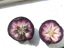 Star Apple